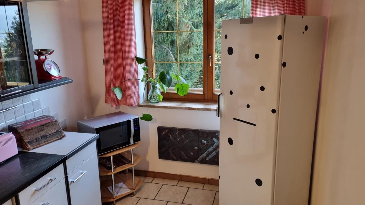 Fridas Place - Der Blick Ueber Ganz Villach - 160 M2 Ferienoase - Ganzes Haus Bis Zu 8 Personen المظهر الخارجي الصورة
